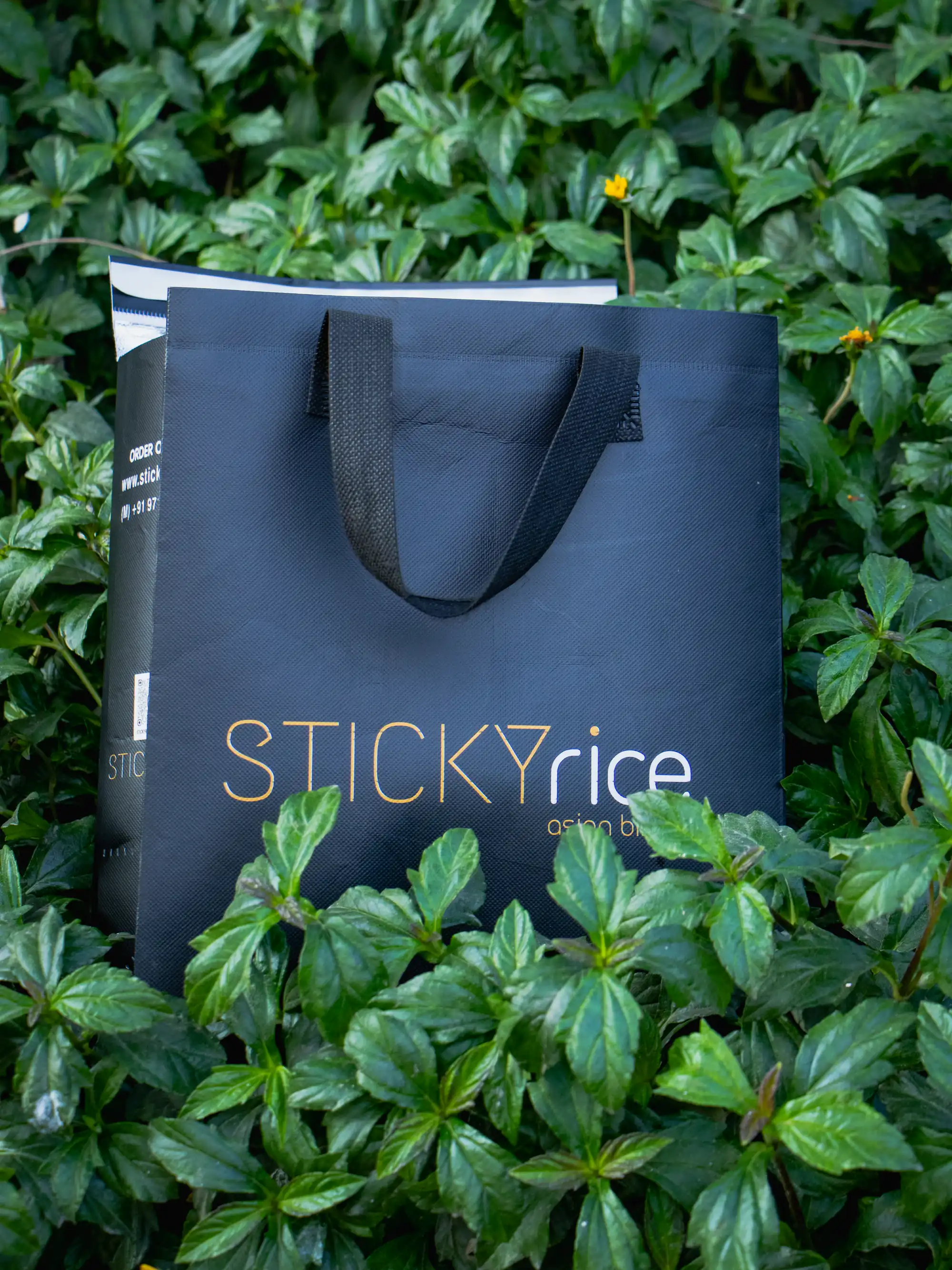 Carry Bag